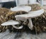 Paddy Straw Mushroom(খড় ছাতু)