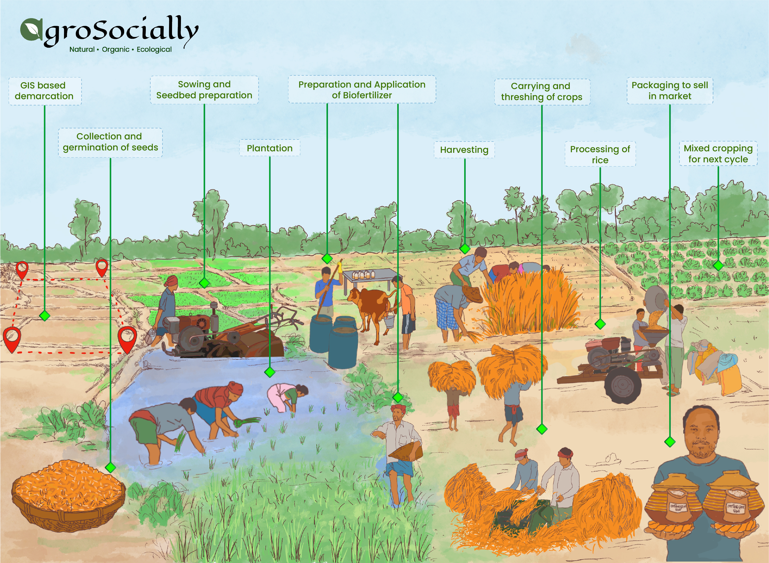 Agriculture Products